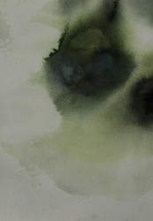 ambient0251